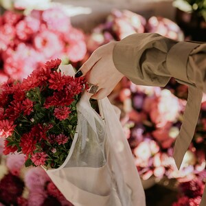 May include: A bouquet of deep red chrysanthemums in a white mesh bag, being held by a hand with a ring. The flowers are surrounded by a blur of pink and purple flowers.