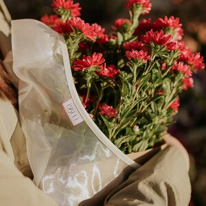 May include: A bouquet of vibrant red flowers, wrapped in a sheer, off-white fabric and brown paper. The flowers have green stems and leaves. The bouquet is held by someone wearing a light green jacket. A small label with the text "I'BELI" is visible.