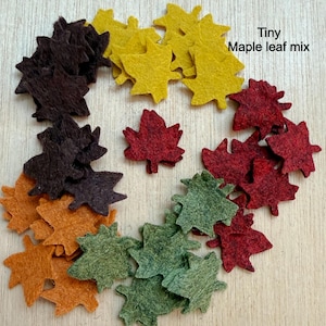 May include: A collection of small felt maple leaf cutouts in shades of yellow, dark brown, orange, red, and green. The text Tiny Maple leaf mix is printed in the upper right corner of the arrangement of these craft embellishments.