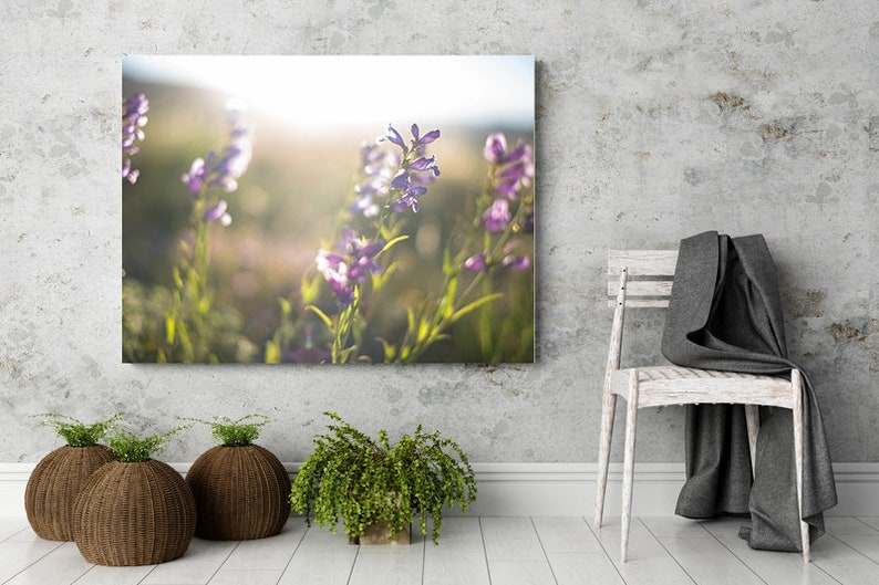 Purple Wildflower Wall Art Print Purple Flowers Etsy