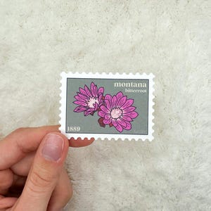 Puede incluir: Un sello postal de estilo vintage con una flor rosa y el texto "Montana bitterroot 1889".