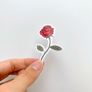 June Birth Month Flower Sticker | Water Bottle Sticker | Flower Laptop Sticker | Kindle Sticker | Rose Flower Sticker | June Flower Sticker