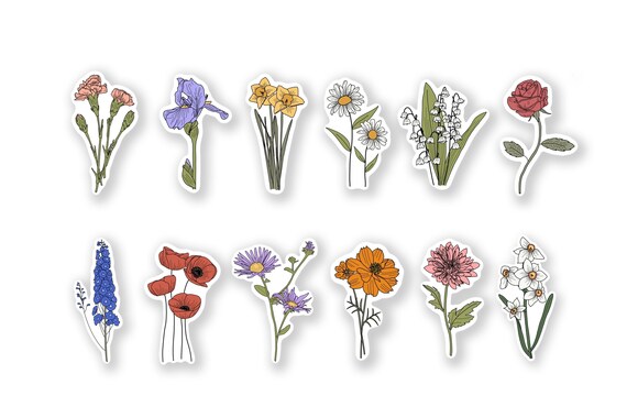 September Geburt Monat Blumen Sticker Blumensticker für - .de