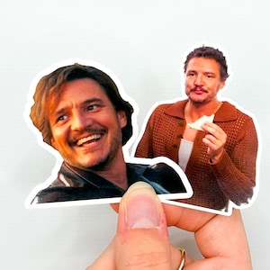 Pascal Sticker Bundle | Pedro Meme Sticker | Stickers for Water Bottle | Stickers for Laptop | Aesthetic Stickers | Kindle Sticker