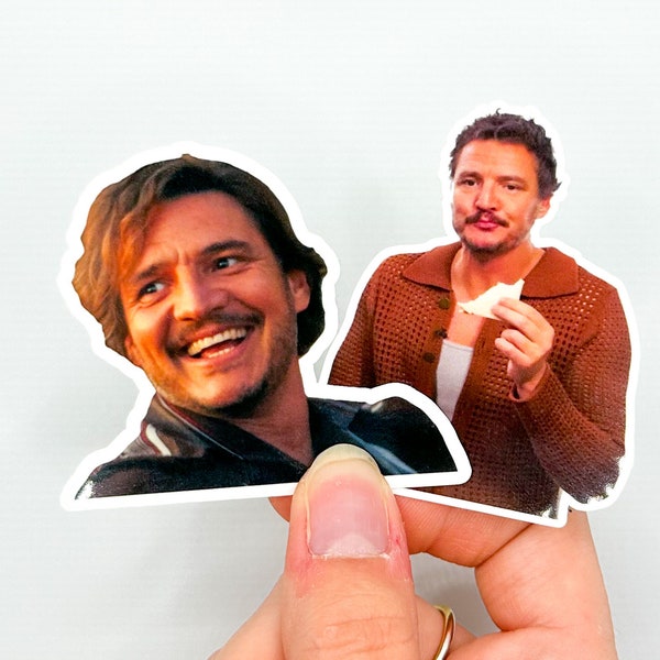 Pedro Pascal Sticker Bundle | Pedro Meme Sticker | Stickers for Water Bottle | Stickers for Laptop | Aesthetic Stickers | Kindle Sticker