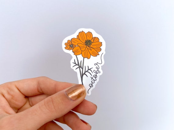 Cosmos Flower - Sticker