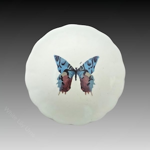 Puede incluir: Tapa de urna redonda y blanca con diseño de mariposa. La mariposa tiene alas azules y rojas con detalles negros. El texto "White Lily Urns" es visible en el lado izquierdo de la tapa.