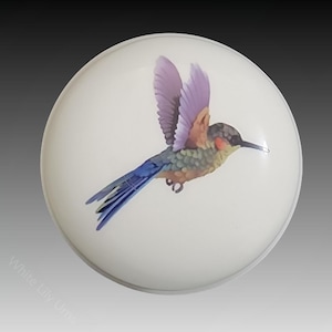 Puede incluir: Una caja redonda de cerámica blanca con una imagen pintada de un colibrí en vuelo. El colibrí tiene plumas moradas, azules, verdes y marrones.