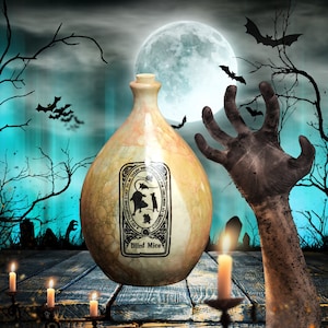 Blinde muizen keramisch aardewerk handgemaakte magische heksen drankje apotheker fles functioneel of halloween decoratie groot meer dan 1 liter inhoud