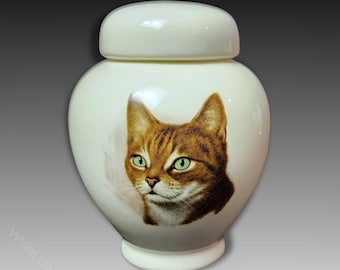 Kleine handgemachte Urne für Katzen mit grünäugigem Ginger Katzenportrait