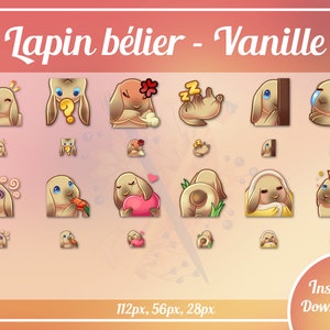 12x Premade cute vanilla lop rabbit sub bit emotes Twitch & Discord pack P2U image 1