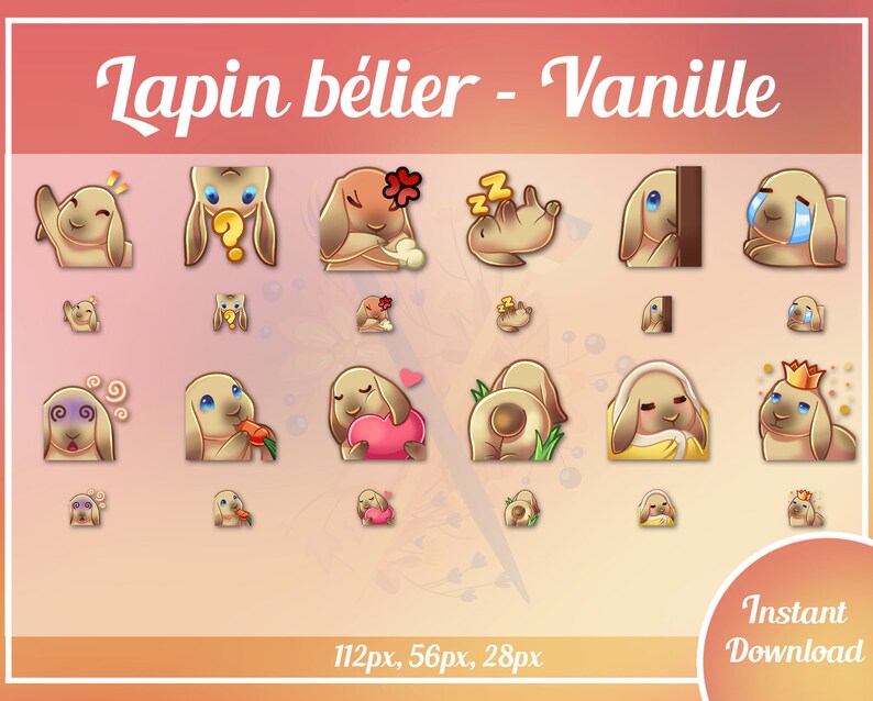 12x Premade cute vanilla lop rabbit sub bit emotes Twitch & Discord pack P2U image 1