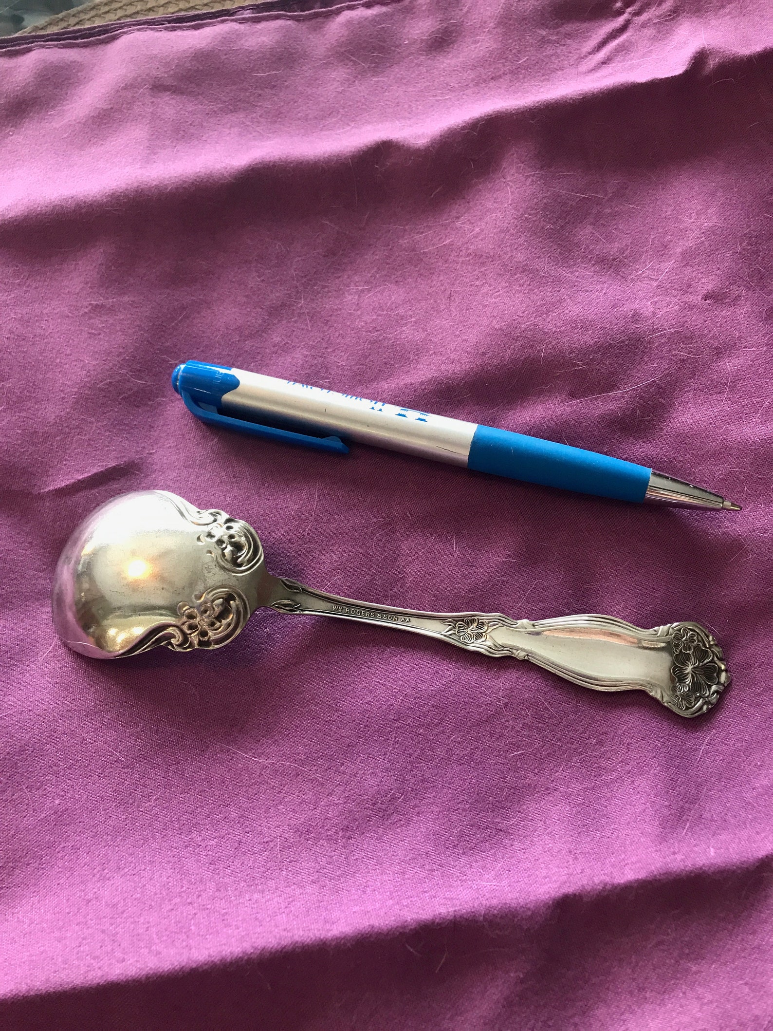 Antique Silver Plate Sugar Spoon With Repose Flowers on Handle and Bowl