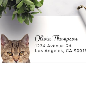 PRINTED | Custom Pet Return Address Label sticker, Wedding Invitation Return Address label, Personalized sticker, Return Mailing Sticker