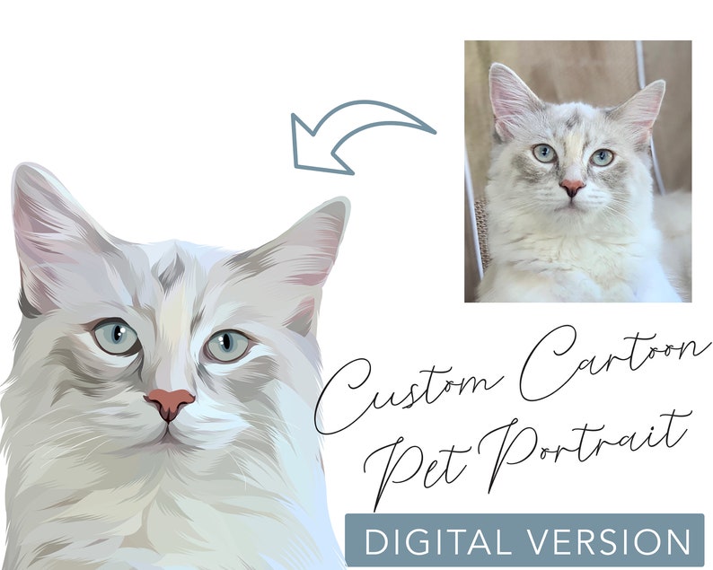 Cartoon Cat