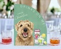 Custom Pet Portrait Signature Drink Sign, Cartoon Portrait Wedding Bar Menu Sign, Dog Cat Wedding Signature Drinks Menu Sign, Shower B33