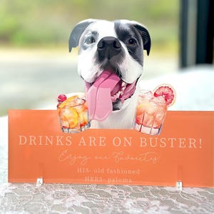 Custom Pet Portrait Signature Drink Sign, Cartoon Cutout Portrait Wedding Bar Menu Sign, Dog Cat Wedding Signature Drinks Menu Sign, Shower