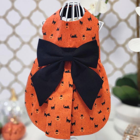 Bewitching Black Cat Halloween Dress - Dog Dress