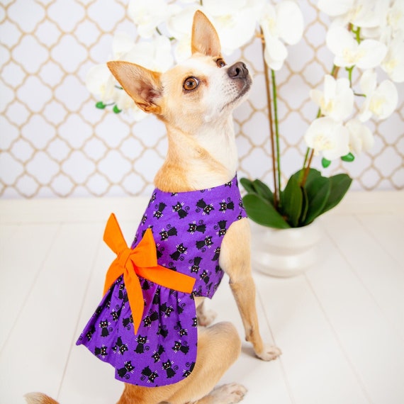 Spooky Kittens Halloween Pet Dress – Limited Edition Dog Dress Pet Apparel