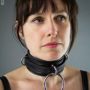 Premium Utility Leather Collar