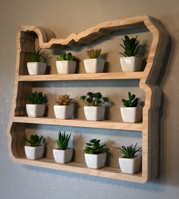 Oregon Succulent Shelf - Etsy
