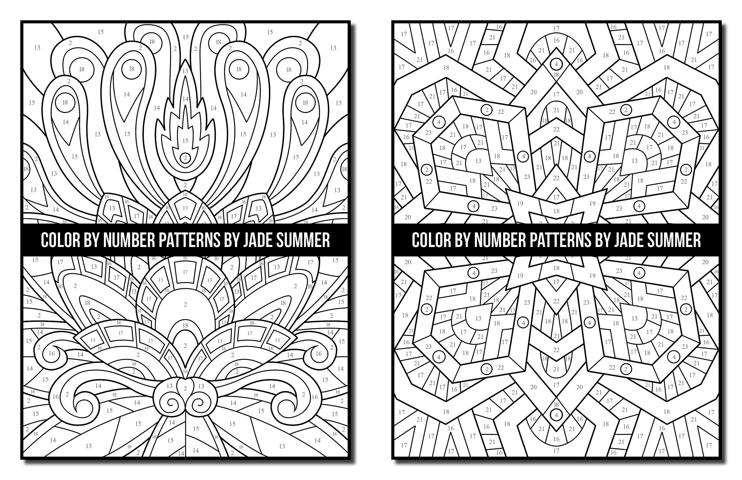 Large Print Color By Number Adult Coloring Book: 50 Coloring Pages