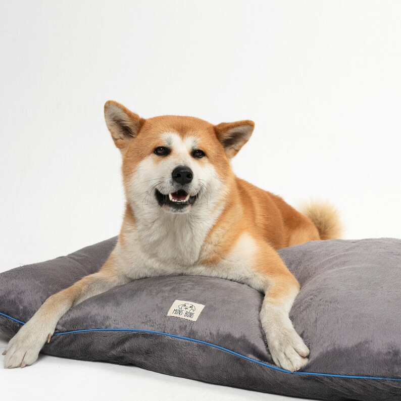 Silver Velvet Pillow
