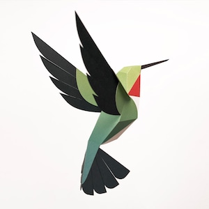 SELASPHORUS PLATYCERCUS - uccello di carta