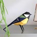 see more listings in the Bird collection section