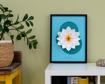 NYMPHAEA ALBA - pop-up paper flower