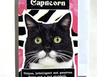 Capricorn Zodiac Cat Star Sign, Funny Birthday Card, Greetings Card