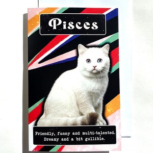 Signe astrologique Poissons chat, carte d'anniversaire drôle, carte de voeux