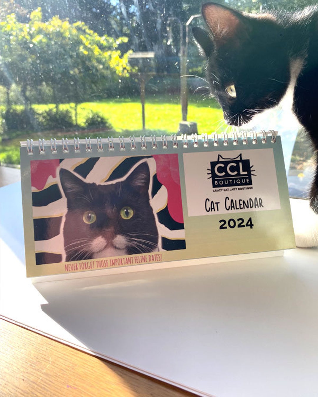 Cute Cat Desk Calendar