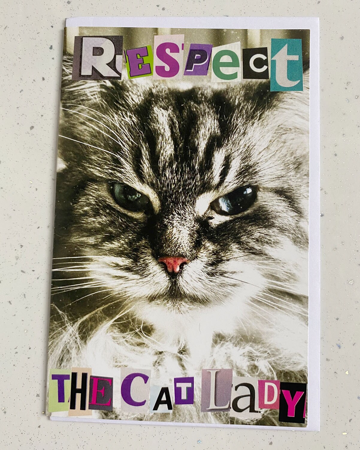 Respect the Cat Lady, Funny Birthday Card, Greetings Card