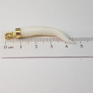 Extra White Coral Horn Pendant Amulet Italy Man Jewels Cornicello Woman Italian Gift Genuine (NO-BAMBOO) Certificate