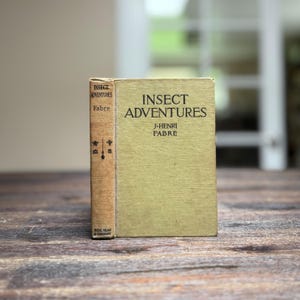 Antique Bug Book Insect Adventures J. Henri Fabre Hardcover Illustrated