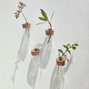 May include: Four clear glass cylindrical wall-mounted vases, each held by a tan leather band featuring a repeating dark brown circular pattern. Three of the vases contain green leafy plant stems, while one vase remains empty, casting distinct shadows.