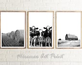 Farmhouse Set Of 3, Farmhouse Animal, Barn Photography, Harvest Set, Kitchen Set of 3, Farm Set Of 3, Farming Set Of 3, Country Prints Decor