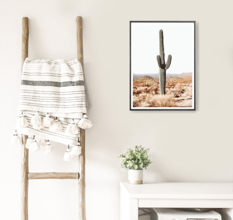 Large Cacti Wall Art Large Desert Cactus South Western Photo | Etsy