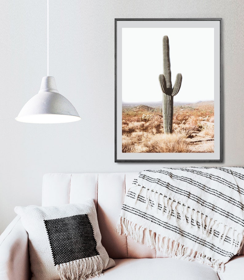 Large Cacti Wall Art Large Desert Cactus South Western Photo Etsy