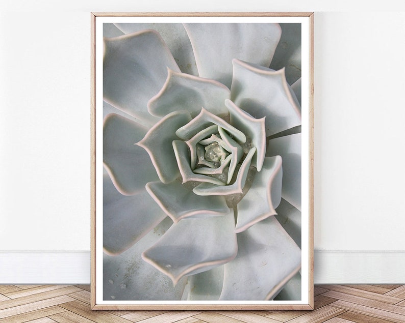 Cactus Print Botanical Art Modern Wall Decor Geometric Art Etsy