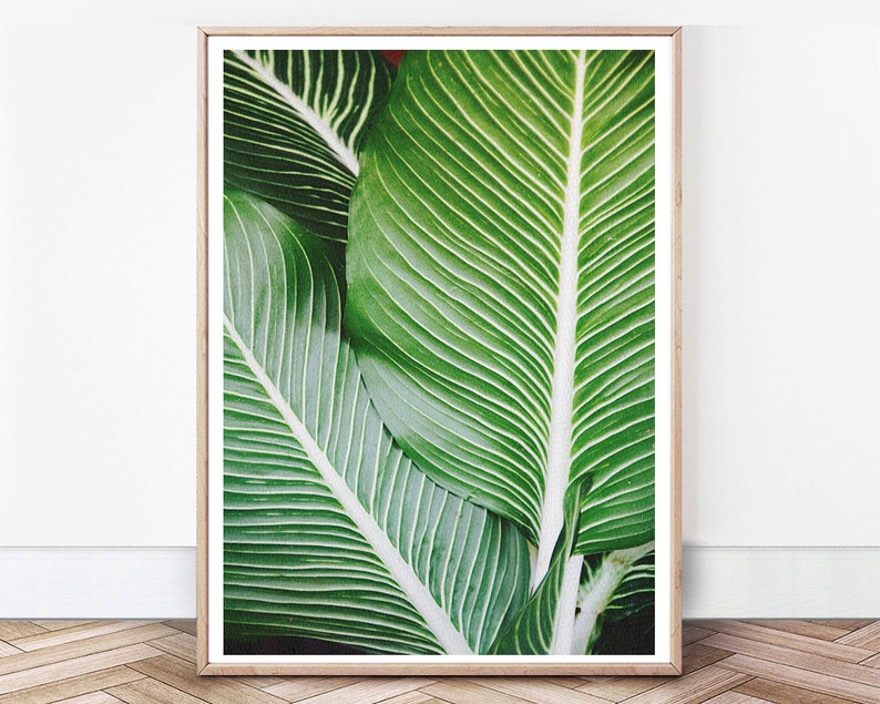 Botanical Print Leaf Wall Art Print Tropical Plant Photo | Etsy