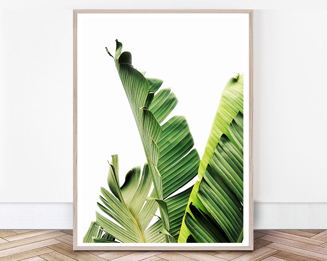 Banana Leaf Print Banana Leaf Art Palm Leaf Print Tropical | Etsy