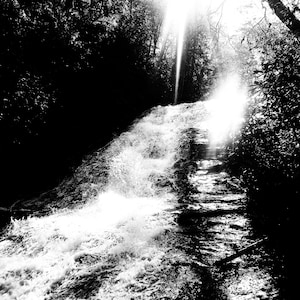 May include: Black and white photograph of a waterfall cascading over rocks. Sunlight streams through the trees, creating a bright contrast with the dark forest. The water is foamy and turbulent.