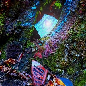 May include: A vibrant image of a tree trunk covered in moss and colorful paint. A piece of red material with the text "WHAT'S BEHIND THE LOOKING GLASS?" is visible. A glowing blue object is also present, adding to the surreal aesthetic.