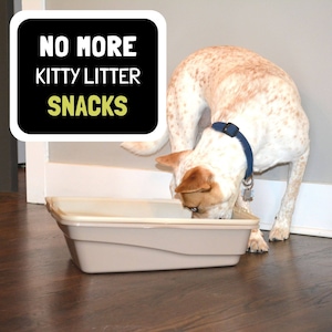 Adjustable Door Strap Cat Latch, Holds Door Open, Keep Dog Out of Litter Box, Cat Door Interior, Indoor Pet Gate, Keep Dog Out of Cat Bowl