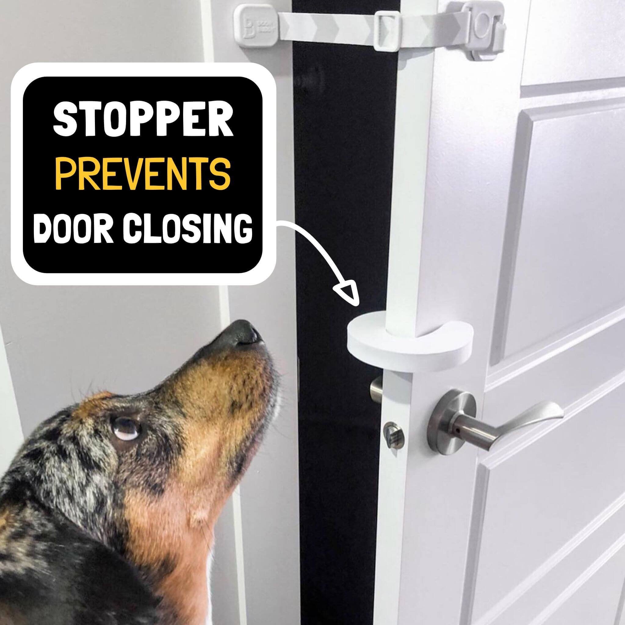 Huaodor Cat Door Latch and Holder - Metal Adjustable Cat Door Stopper -  Strong and Portable Door Prop - Keep Dog Out of Litter Box & Cat Feeder -  No