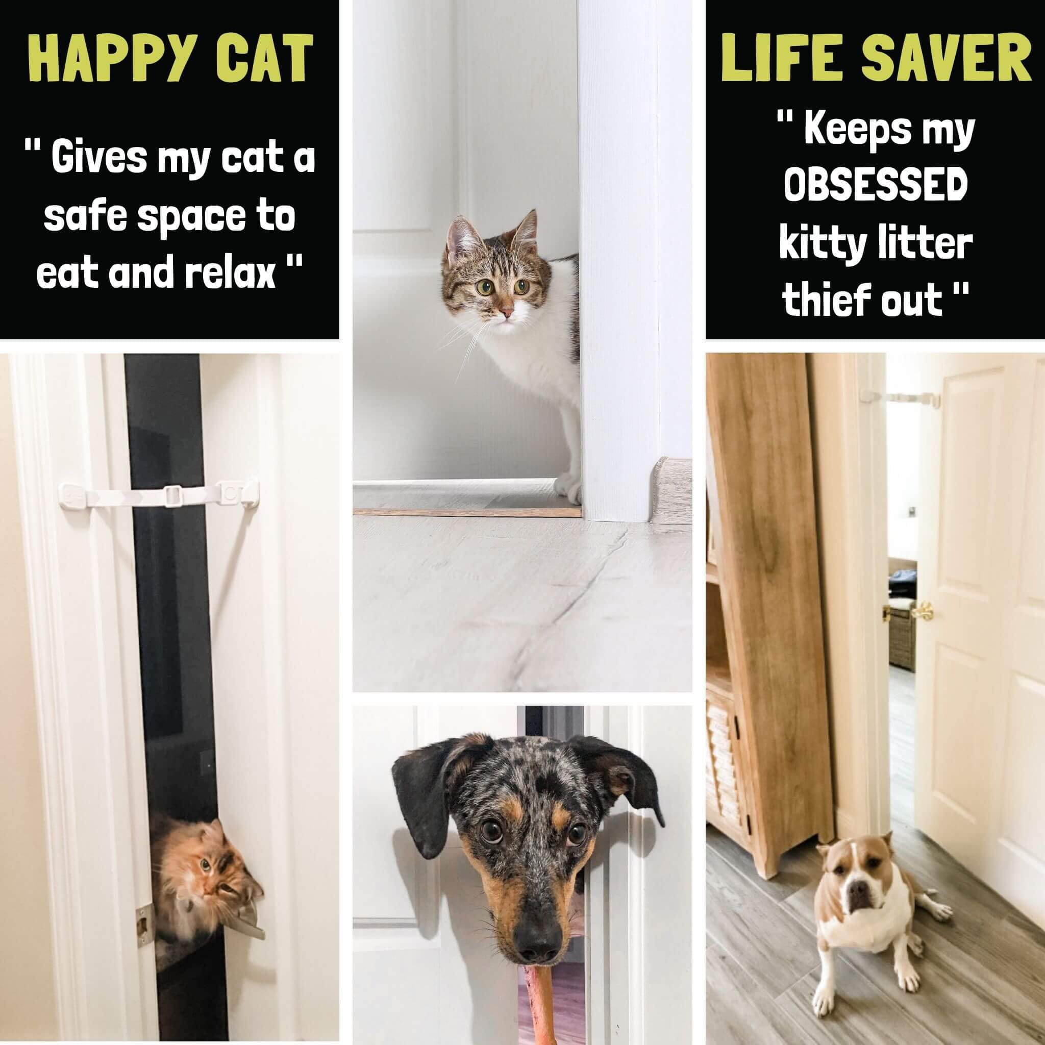 Cat Door Latch Near Me Door Buddy®: Door Latch Plus Door Stopper