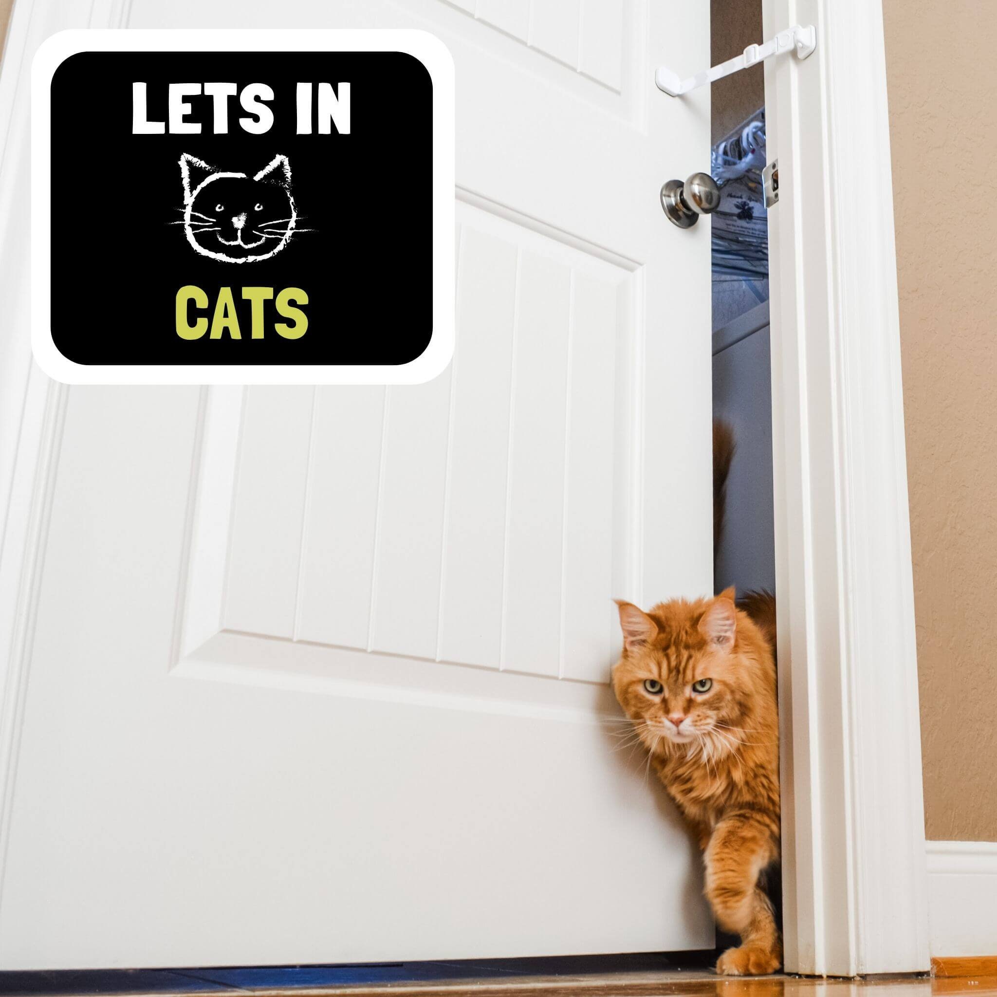 Cat Door without Cutting Door