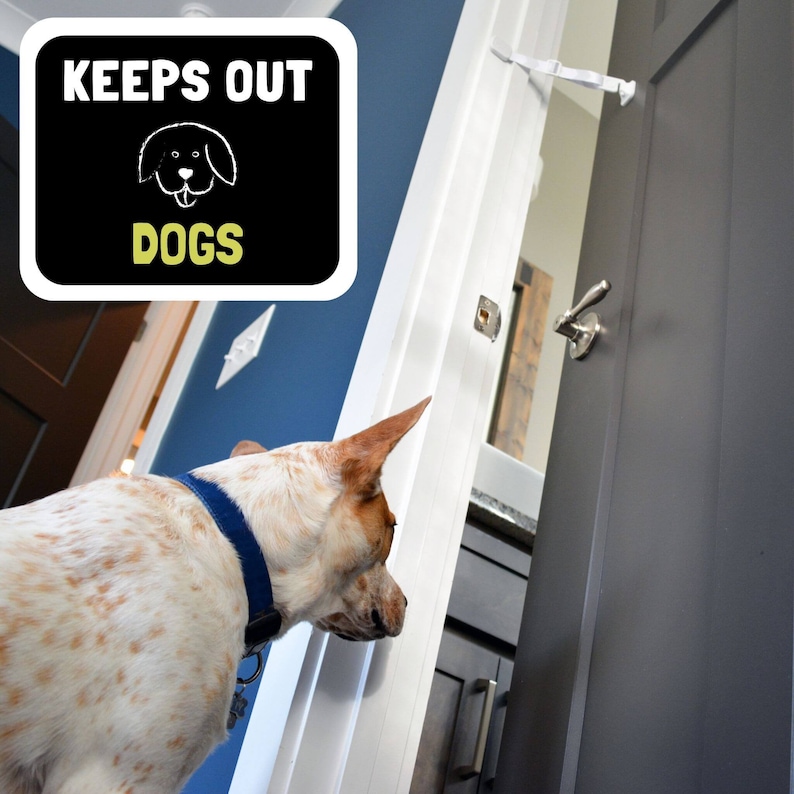 Door Buddy® 2pack Door Strap & Latch Lets Cats in Keeps Etsy
